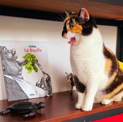 Deliot Pro Occasions & Neuf, Thise - Horaires d'ouverture
