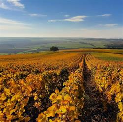 Dosne Bruno, Rouvres-les-Vignes - Horaires d'ouverture