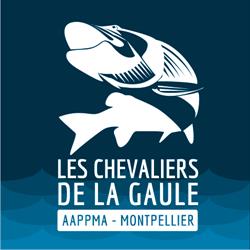 Les Chevaliers de la Gaule, Montpellier - Horaires d'ouverture
