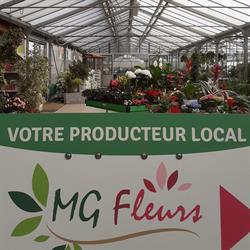 MG Fleurs, Cours - Horaires d'ouverture