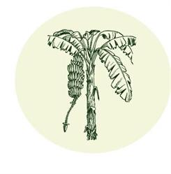 Au comptoir exotique, Cherbourg-en-Cotentin - Horaires d'ouverture