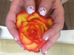 Beauty Nails, Limoges - Horaires d'ouverture