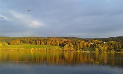 L'Ecrin du lac, Saint-Point-Lac - Horaires d'ouverture