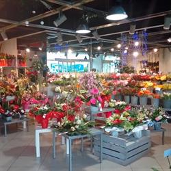 Terre de Fleurs Montauban - Interflora, - Horaires d'ouverture
