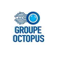 GROUPE OCTOPUS, Gonesse - Horaires d'ouverture