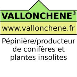 Vallonchêne, Sommery - Horaires d'ouverture