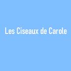 Les Ciseaux de Carole, Ballancourt-sur-Essonne - Horaires d'ouverture