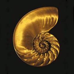 Institut Cocoon'in, Beaulieu-sur-Mer - Horaires d'ouverture