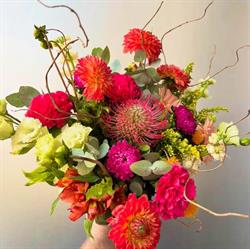 Moisson de fleurs, Castres - Horaires d'ouverture