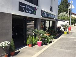 Ain Fleurs et Sens, Mionnay - Horaires d'ouverture