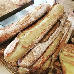 Boulangerie Pâtisserie Pecheux La baguette magique, Saint-Vincent-de-Tyrosse - Horaires d'ouverture