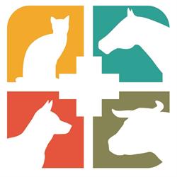 Cabinet veterinaire, Bonneuil-Matours - Horaires d'ouverture