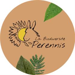 Association Perennis, Cognac - Horaires d'ouverture