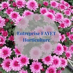 Fayet Horticulture, Saint-Victor-de-Cessieu - Horaires d'ouverture