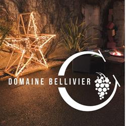 Domaine Bellivier, Huismes - Horaires d'ouverture