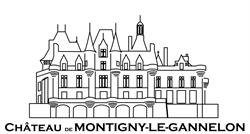 Domaine du Château de Montigny le Gannelon, Cloyes-sur-le-Loir - Horaires d'ouverture