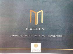 Cabinet Mollevi, Béziers - Horaires d'ouverture