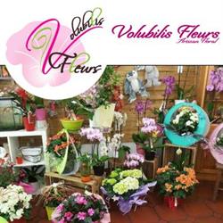 Volubilis Fleurs (colis au 2ème magasin), Le Havre - Horaires d'ouverture
