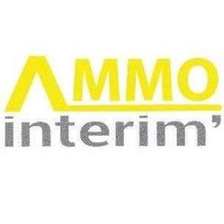 Ammo Interim, Cesson-Sévigné - Horaires d'ouverture