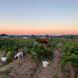 Clos Des Patris, Caromb - Horaires d'ouverture