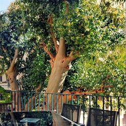 Villa Rima, Nice - Horaires d'ouverture