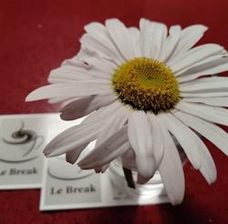 Le Break, Menton - Horaires d'ouverture