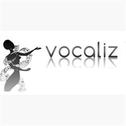 Ecole De Chant Vocaliz, Castres - Horaires d'ouverture