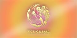 Tsushima Restaurant Japonais, Seysses - Horaires d'ouverture