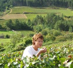 Domaine Françoise Jeanniard, Pernand-Vergelesses - Horaires d'ouverture
