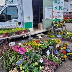EARL Fleurs des Salines, Marck - Horaires d'ouverture
