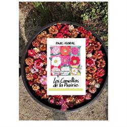 Les Camellias de la Prairie, Alès - Horaires d'ouverture