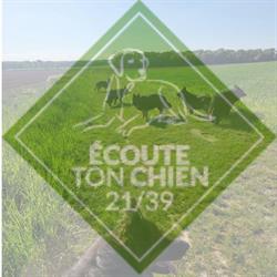 Laure SPERANZA Ecoute ton chien 21-39, Franxault - Horaires d'ouverture