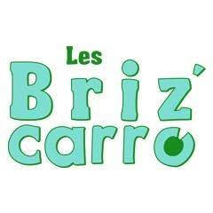 Les Briz'Carro, Association de promotion de la mosaïque de récup (cours et animations), Bordeaux - Horaires d'ouverture