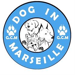 Dog in Marseille (Groupement Cynophile Marseillais), - Horaires d'ouverture
