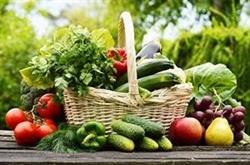 Bio Minervois, Olonzac - Horaires d'ouverture