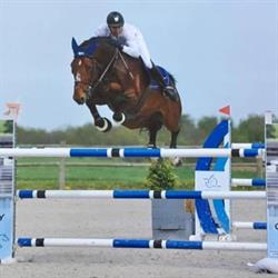 haras de luppy, Luppy - Horaires d'ouverture