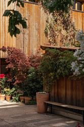 Dojo Masséna - Yoga et Arts Martiaux, Lyon - Horaires d'ouverture