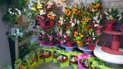 Cm Fleurs, Saint-Pierre-en-Auge - Horaires d'ouverture