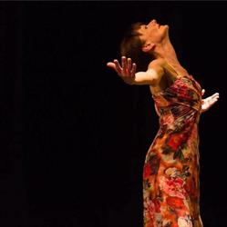 Association Compagnie Terpsichore, Cambrai - Horaires d'ouverture