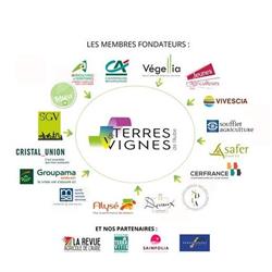 TERRES ET VIGNES, Troyes - Horaires d'ouverture