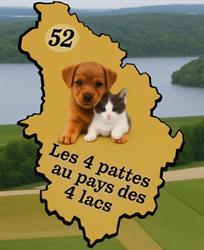 Les 4 pattes au pays des 4 lacs, Langres - Horaires d'ouverture