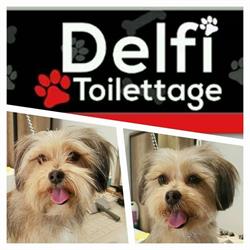 Delfi Toilettage, Avignon - Horaires d'ouverture