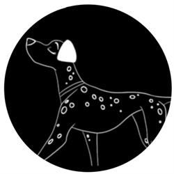 Dog's Paradise, La Roquette-sur-Siagne - Horaires d'ouverture