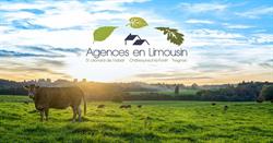 Treignac Immobilier, - Horaires d'ouverture