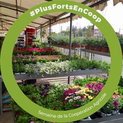 Coopérative Agricole d'Antibes ( PRO ), - Horaires d'ouverture