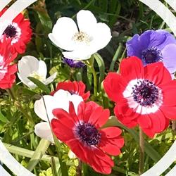 Le Jardin en Folie, Andilly - Horaires d'ouverture