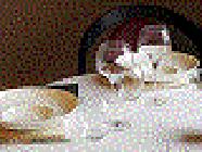 Le Comptoir Gourmand, Tain-l'Hermitage - Horaires d'ouverture