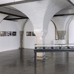 Centre d'art contemporain La Halle des bouchers, Vienne - Horaires d'ouverture