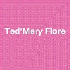 TED MERY FLORE, Trignac - Horaires d'ouverture