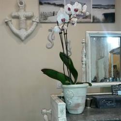 Alli'Hanss Coiffure, Lanton - Horaires d'ouverture